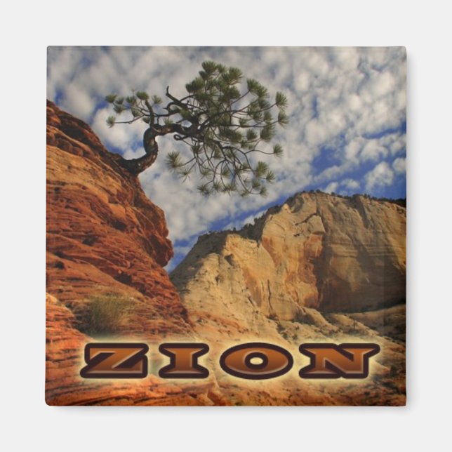 Imán Zion Magnate (Frente)