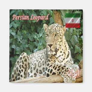 Imán zIR006 LEOPARD PERSA, Irán, Asia, Fridge