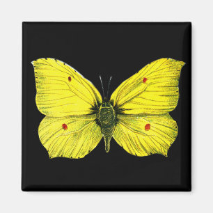 Imán Zitronenfalter