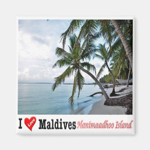 Imán zMV008 HANIMAADHOO, HAA DHAALU ATOLL, Maldivas,