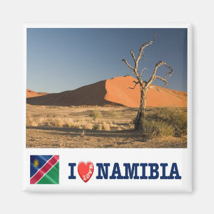 Imán zNA008 NAMIBIA I Love, Africa, Fridge
