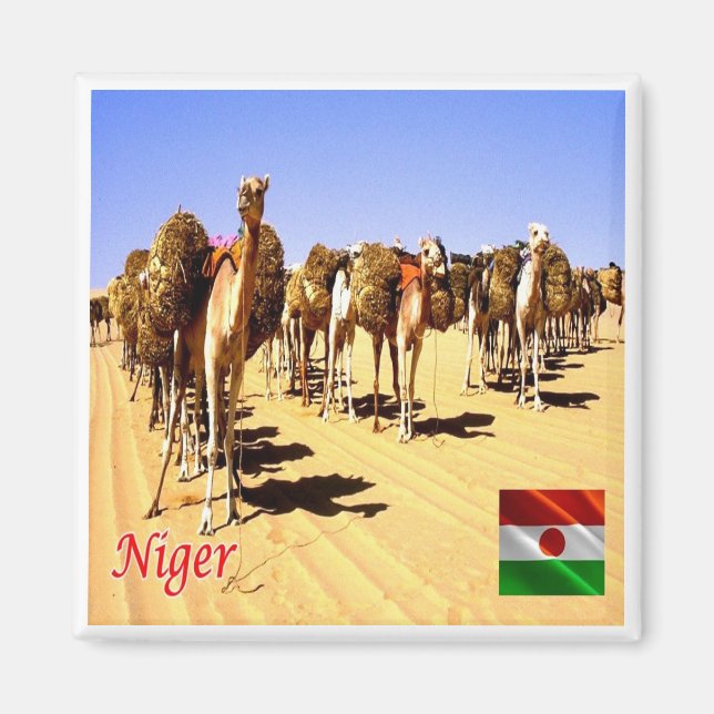 Imán zNE007 NIGER, Oasis Bilma, África, Fridge (Frente)
