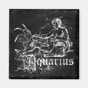 Imán Zodiac Acuario Vintage