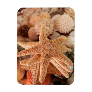 Imán Zonas costeras en venta Zihuatanejo, México