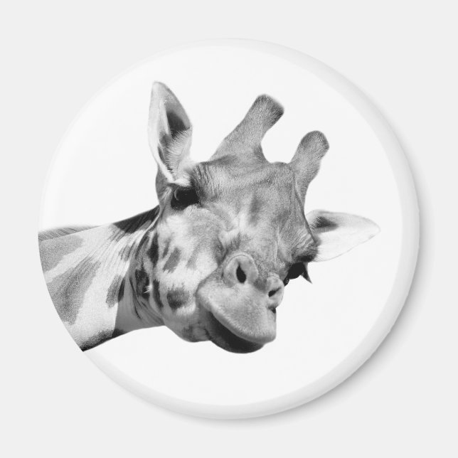 Imán Zoológico de la jungla de animales de jirafa foto  (Frente)