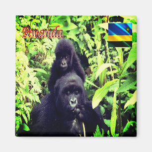 Imán zRW003 RWANDA, gorila en el parque nacional, Fridg