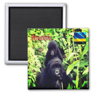 Imán zRW003 RWANDA, gorila en el parque nacional, Fridg