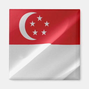 Imán zSG002 ondeando la BANDERA de Singapur, Fridge
