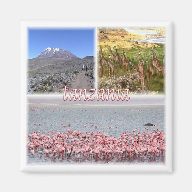 Imán zTZ019 TANZANIA, Mosaic, África, Fridge (Frente)