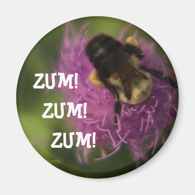 Imán Zum Zum Zum Magnet (Frente)
