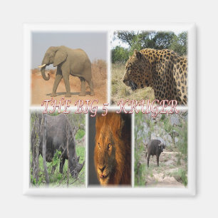 Imán ZZA035 SUDÁFRICA Big 5 en Kruger N.P. Fridge