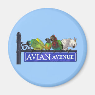 Imanes aviares de la avenida