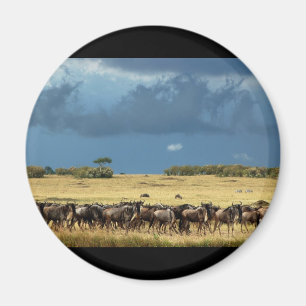 Imanes azules de Mara Kenia del Masai del