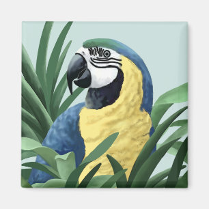 Imanes azules del Macaw