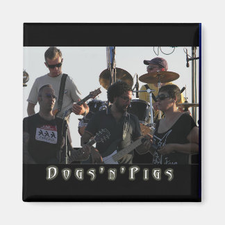 Imanes de banda D'n'P 2