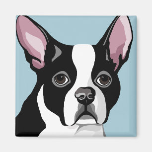 Imanes de Boston Terrier