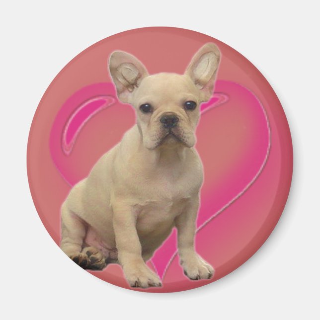 Imanes de cachorro de bulldog de Francia (Frente)
