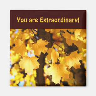 Imanes de cumplido Eres Extraordinario Otoño