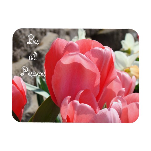 Imanes de Estar en Paz Jardín de Flores Tulipán de (Horizontal)