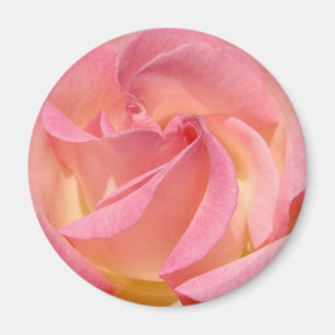 Imanes de flor de rosa rosa Regalos personalizados