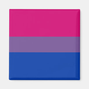 Imanes de la bandera del orgullo del BI