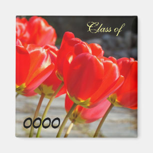 Imanes de la clase del año escolar Flores de Tulip