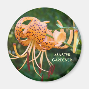Imanes de lirios tigre naranja jardinero maestro