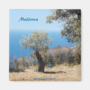 Imanes de Mallorca