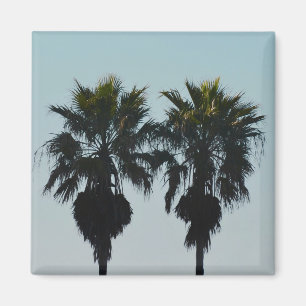 Imanes de Palmeras de Verano