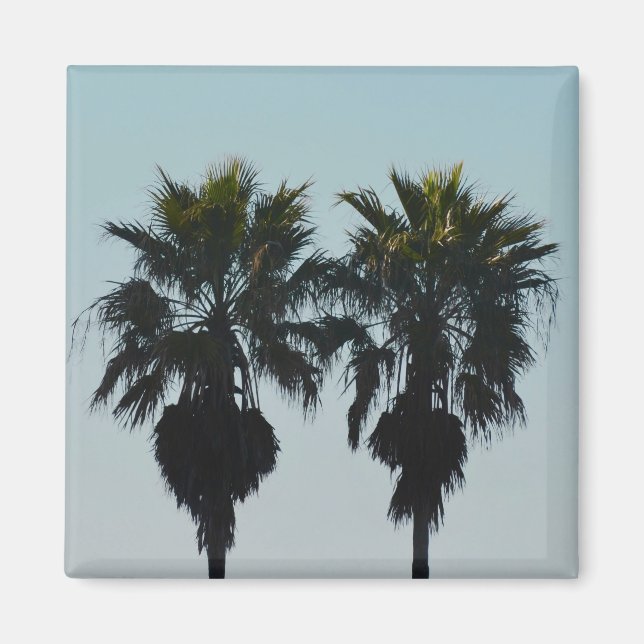 Imanes de Palmeras de Verano (Frente)