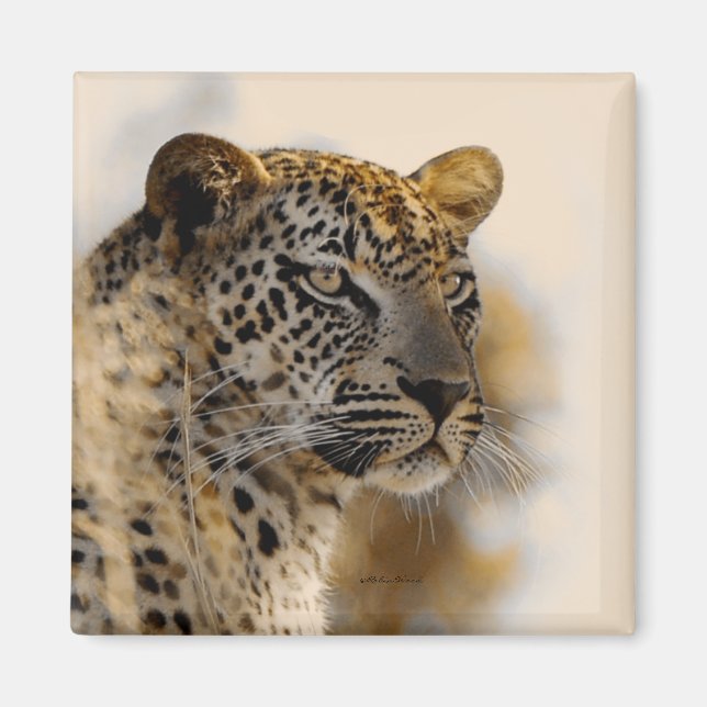 Imanes de safari leopardo (Frente)