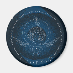 Imanes de señalización zodiaco