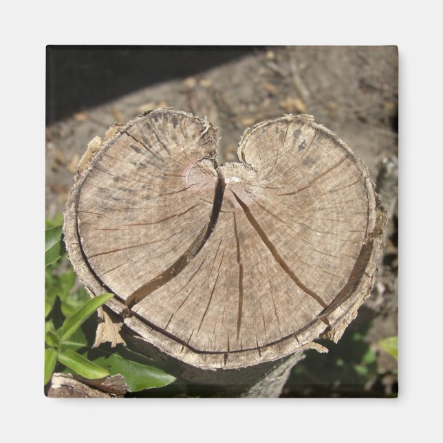 Imanes de trompa de corazón divididos (Frente)