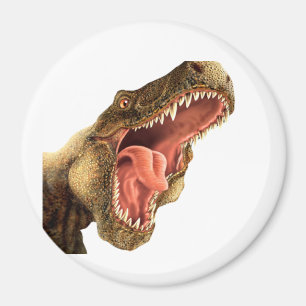 Imanes del armario del dinosaurio de T-REX,