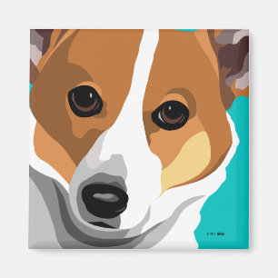 Imanes del Corgi Galés