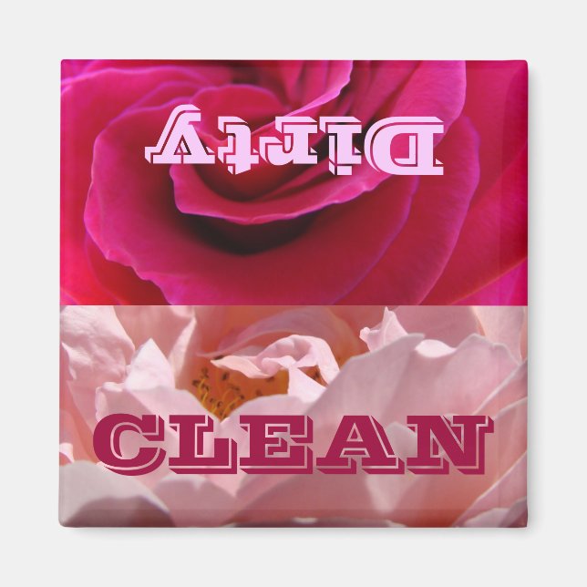 Imanes del lavaparabrisas Dish Washer imán CLEAN D (Frente)
