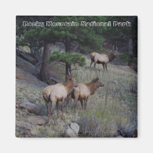 Imanes del Parque Nacional de las Montañas Rocosa