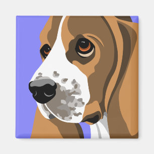 Imanes del perro de Baset
