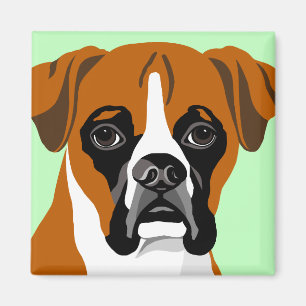 Imanes del perro del boxeador