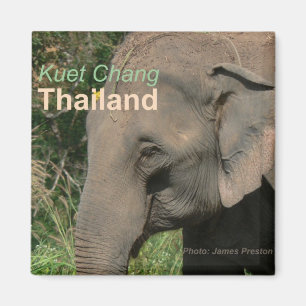 Imanes del refrigerador del elefante de Kuet Chang