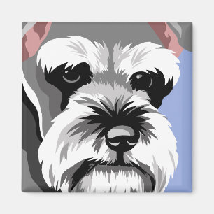 Imanes del Schnauzer miniatura
