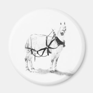 Imanes equinos del arte del caballo de proyecto de