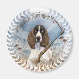 imanes Españoles Springer ingleses