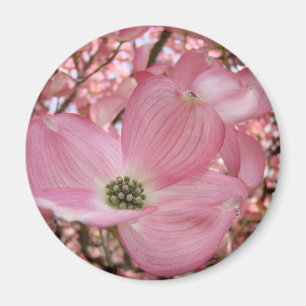 Imanes Flores de Perro de Flor de Cerezo Rosa Rega