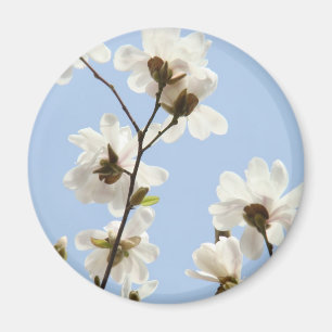 Imanes Magnolias Blancas Flores de árbol regalos d