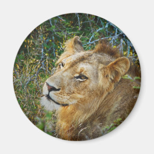 Imanes masculinos africanos del refrigerador del