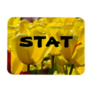 Imanes STAT Enfermería Medicina Tulip Magnet Flora
