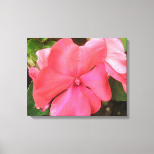 Impacio rosa Impresión de lienzo de macros de flor