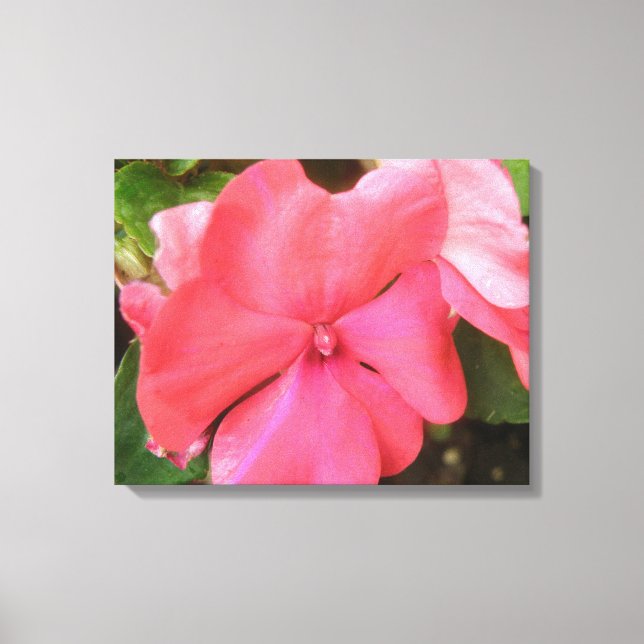 Impacio rosa Impresión de lienzo de macros de flor (Anverso)