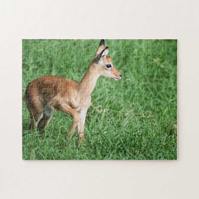 Impala bebé en un rompecabezas verde de lujo (Horizontal)